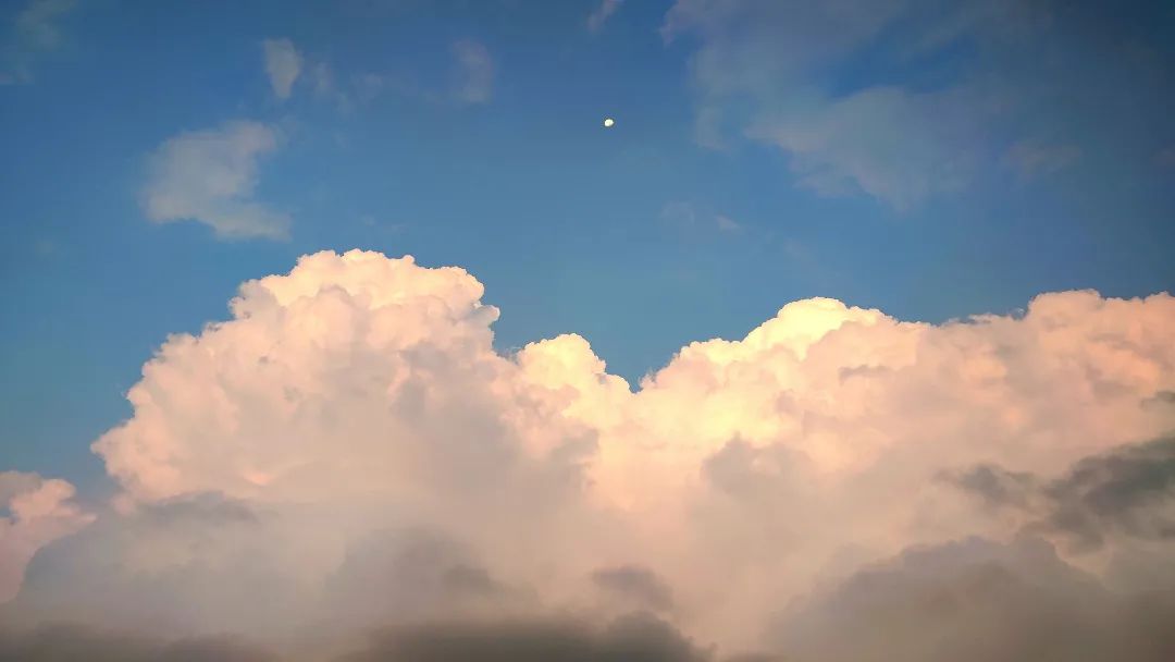 美丽云南微科普