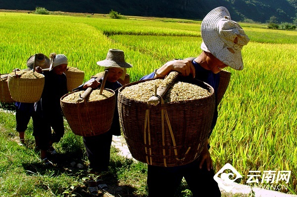 云南省文化和旅游厅