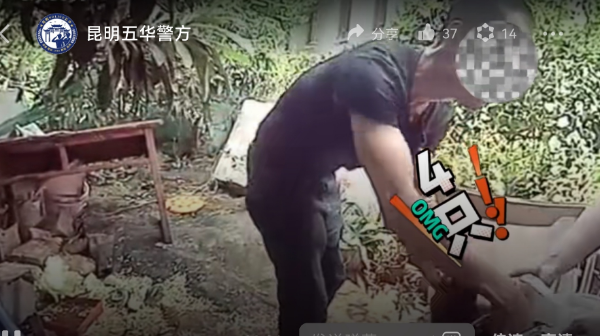 掌上春城