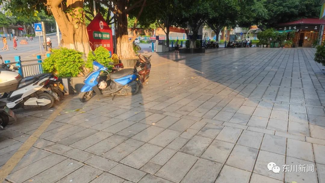 东川新闻
