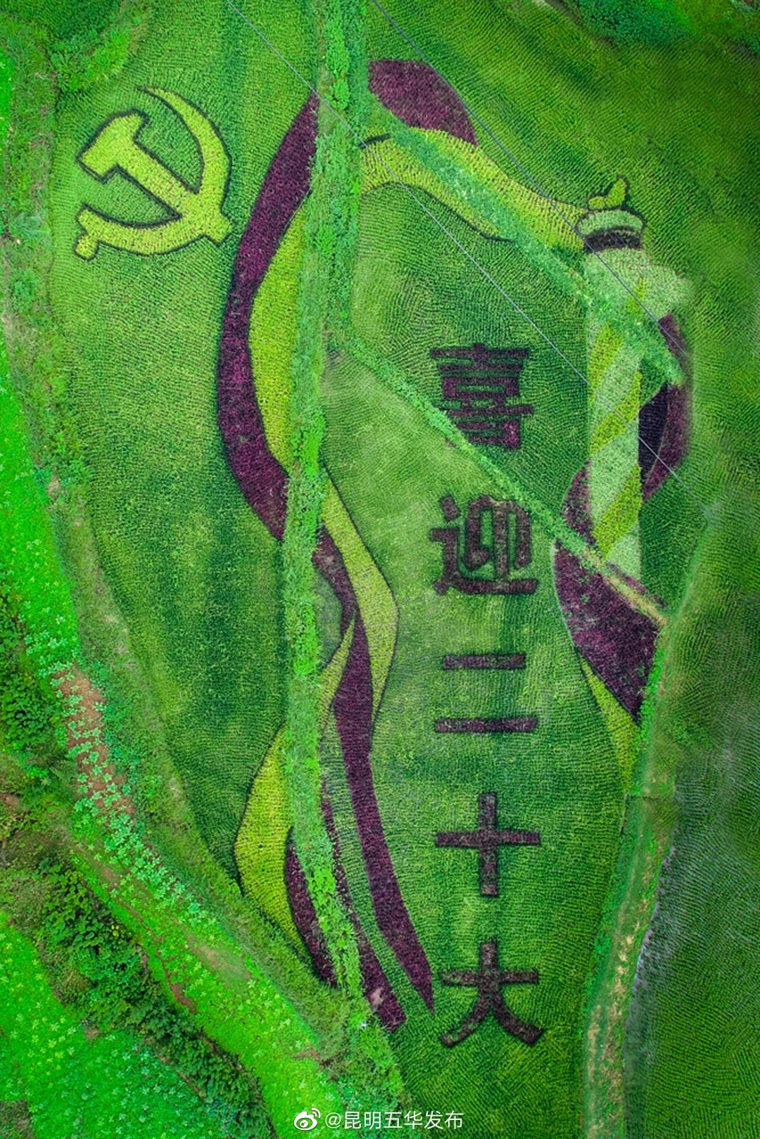 “昆明五华发布”微博