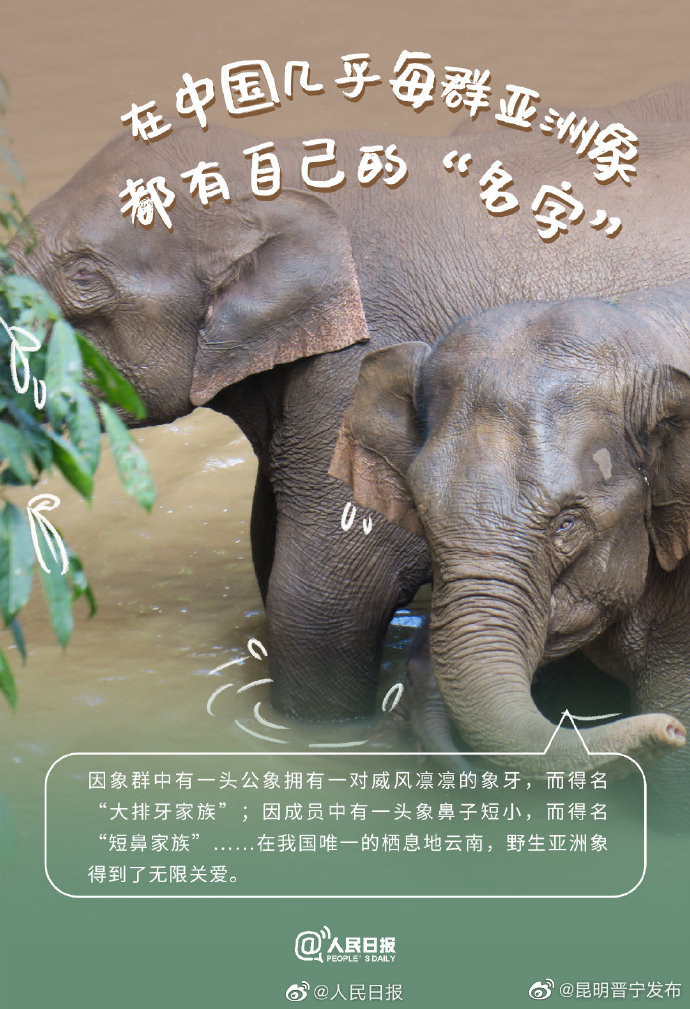 昆明晋宁发布