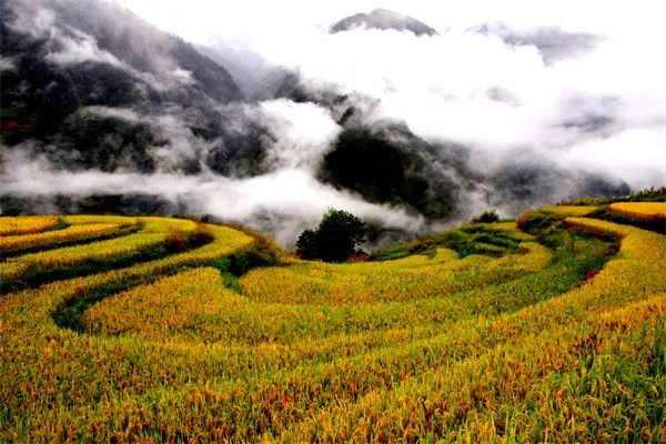 文旅云南
