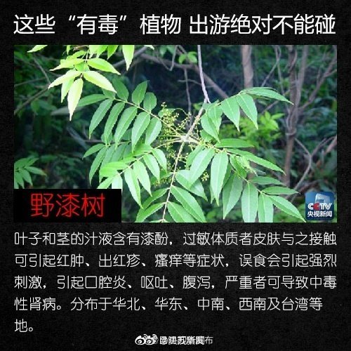 “昆明五华发布”微博