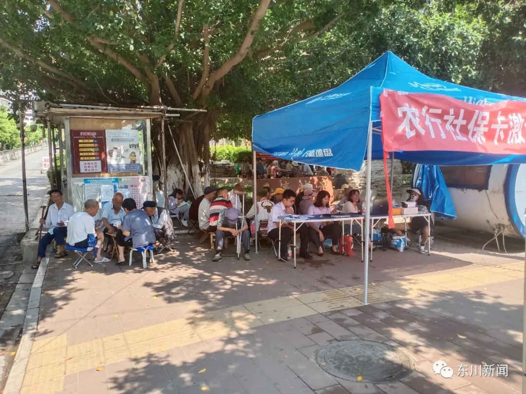 东川新闻