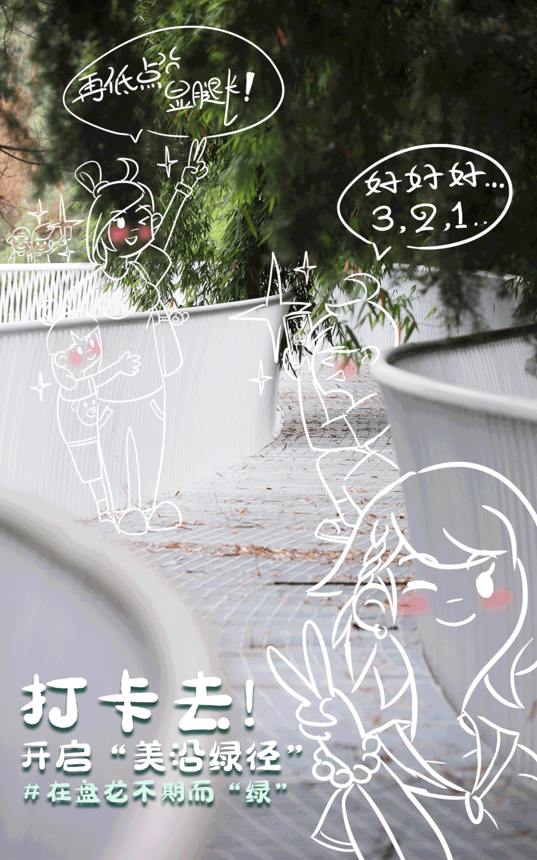 微观盘龙