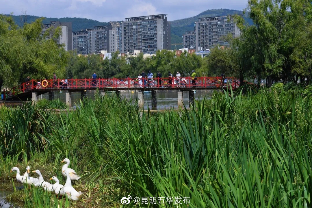 “昆明五华发布”微博