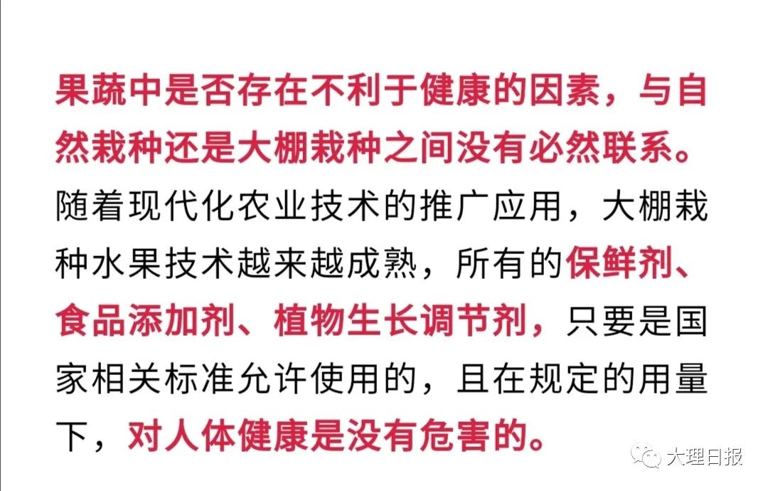 大理日报