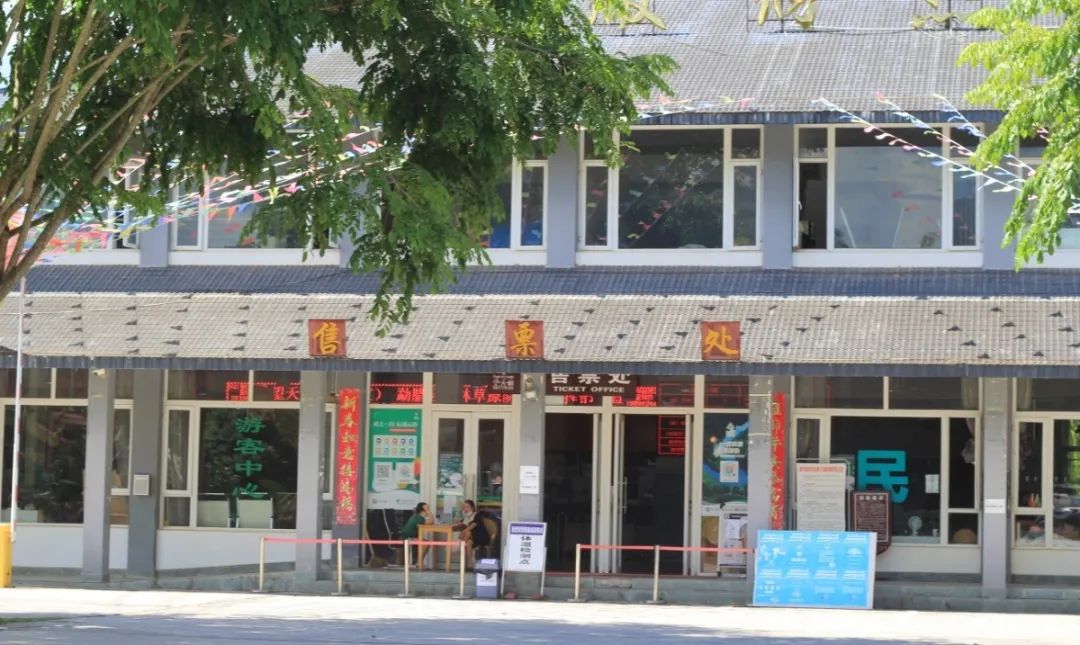西双版纳望天树景区