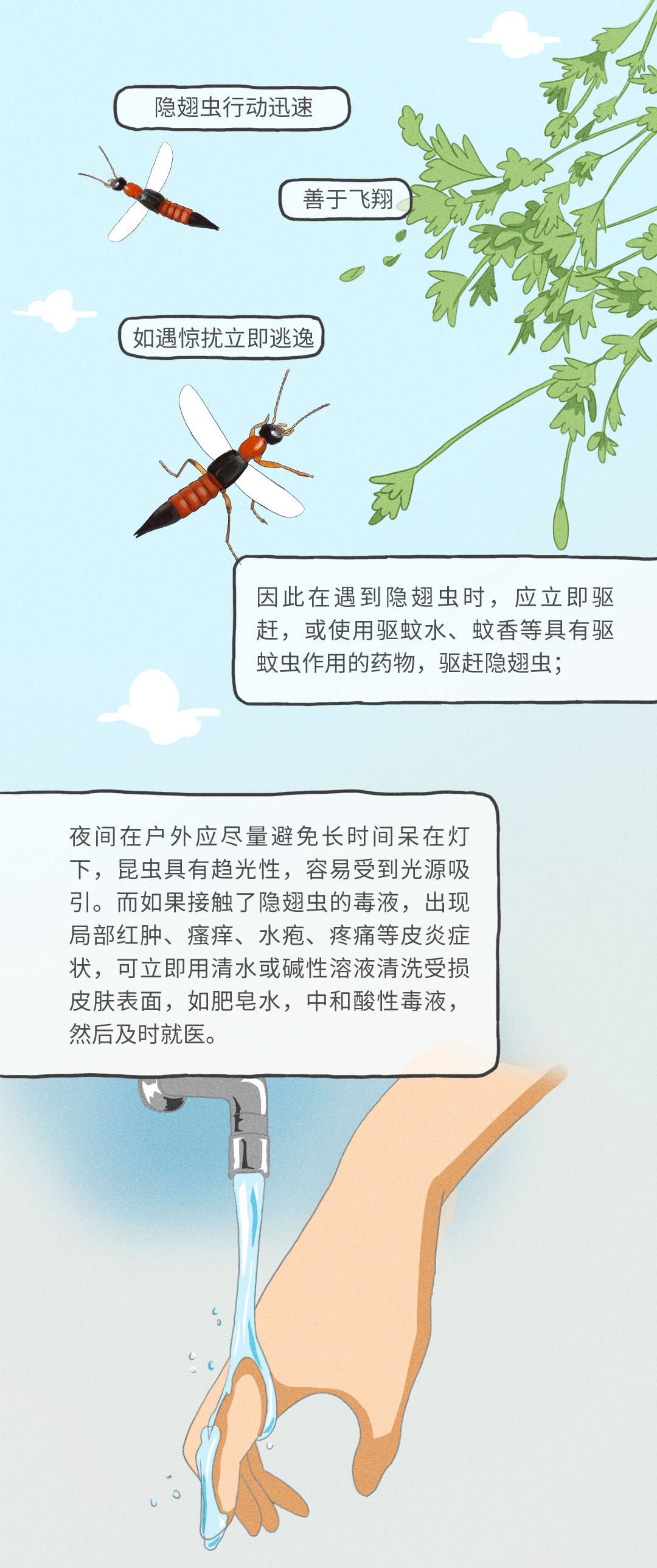 美丽云南微科普