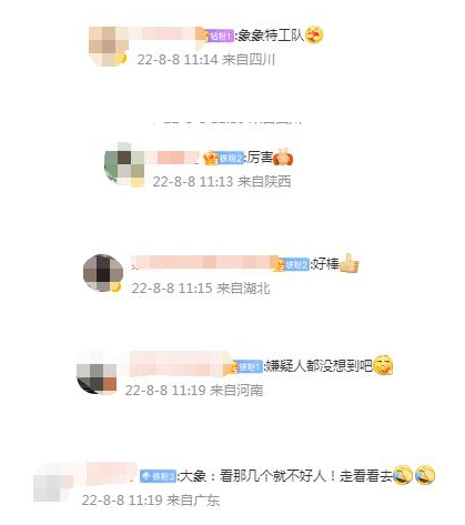掌上春城