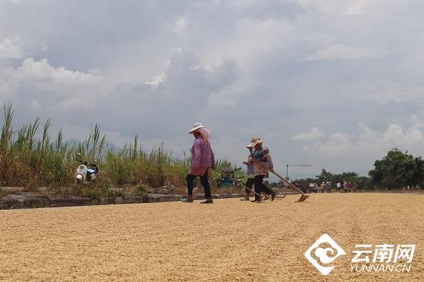 云南省文化和旅游厅