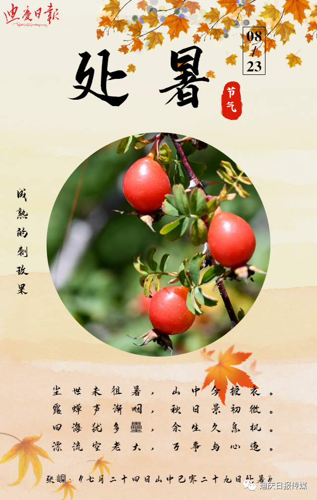迪庆日报传媒