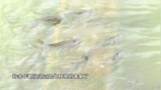 昆明信息港/cnkmxxg