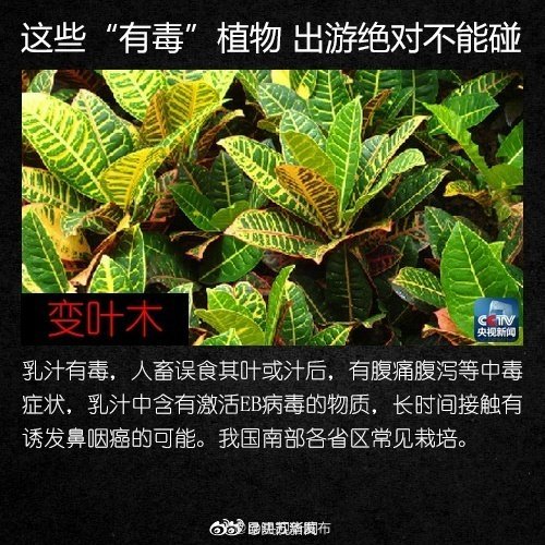 “昆明五华发布”微博