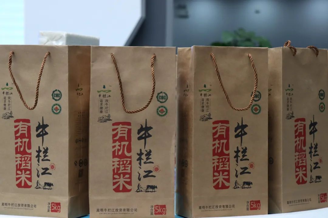 悦读嵩明