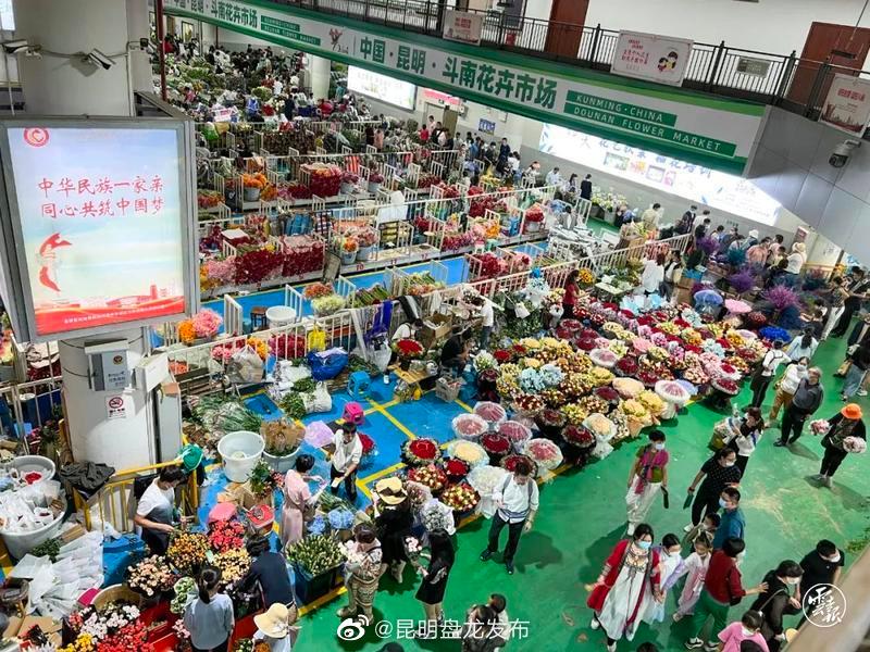 昆明盘龙发布