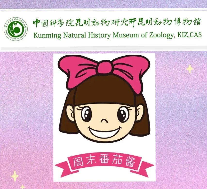 昆明五华发布
