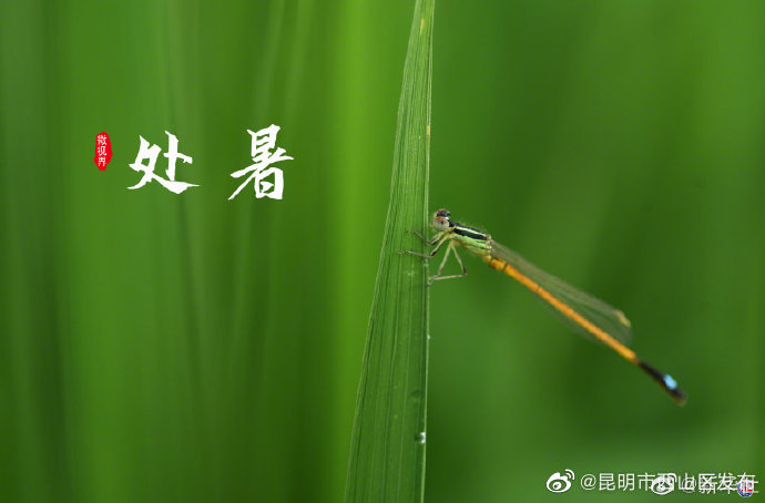 昆明市西山区发布