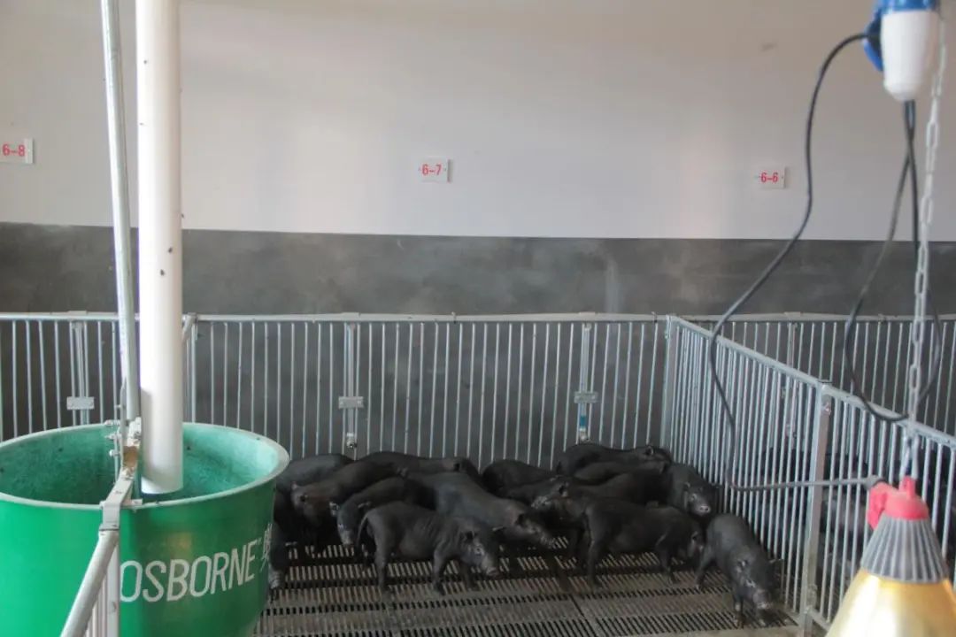 悦读嵩明