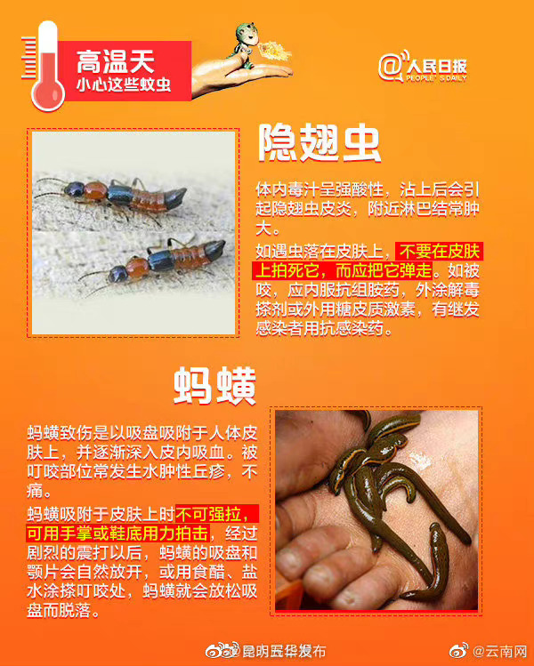 “昆明五华发布”微博