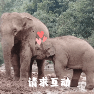 普洱日报