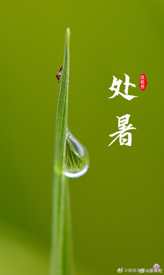 昆明市西山区发布