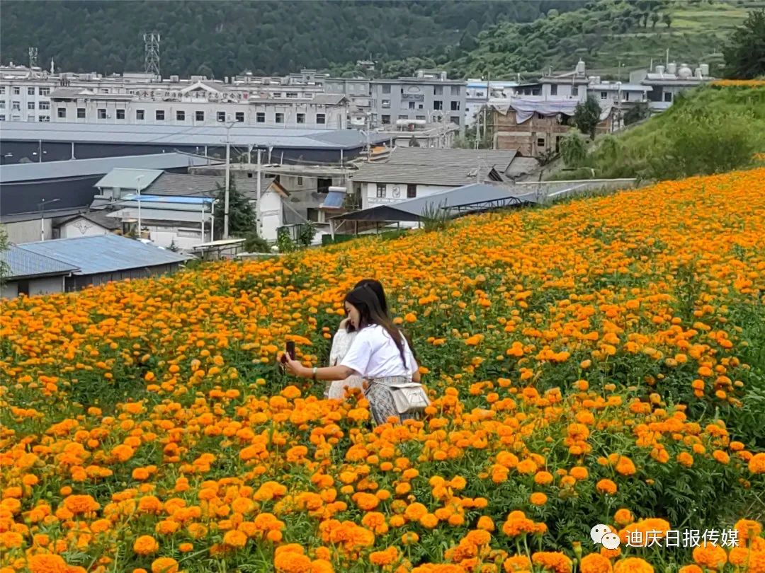 迪庆日报传媒