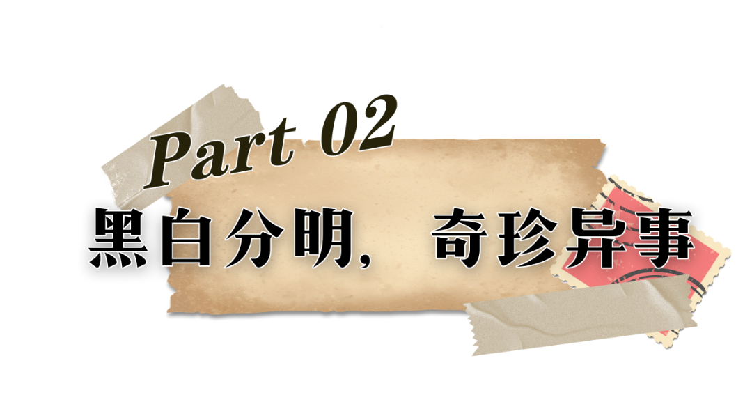 昆明文旅