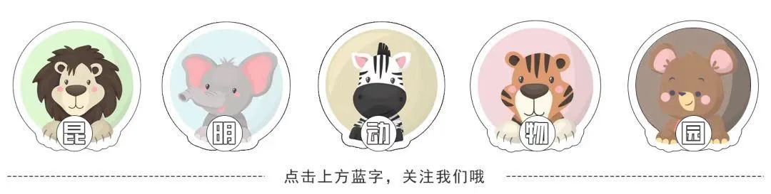昆明动物园