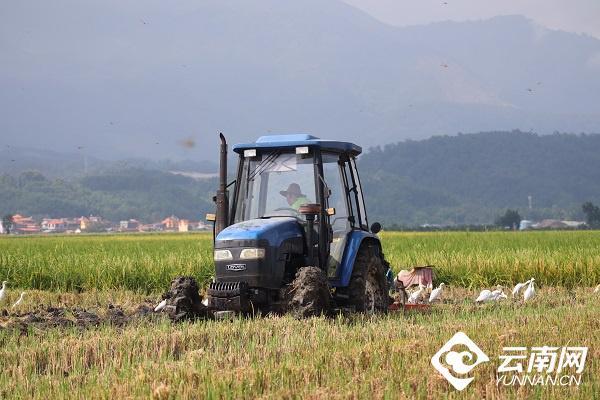 云南省文化和旅游厅