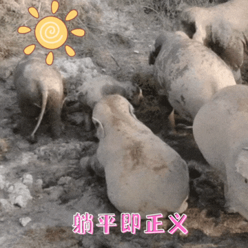 普洱日报