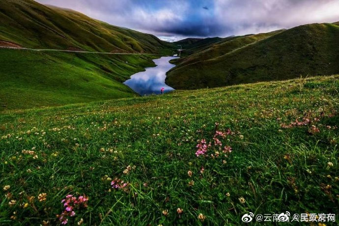 呈贡发布