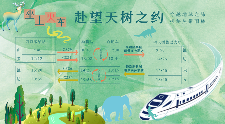 西双版纳望天树景区