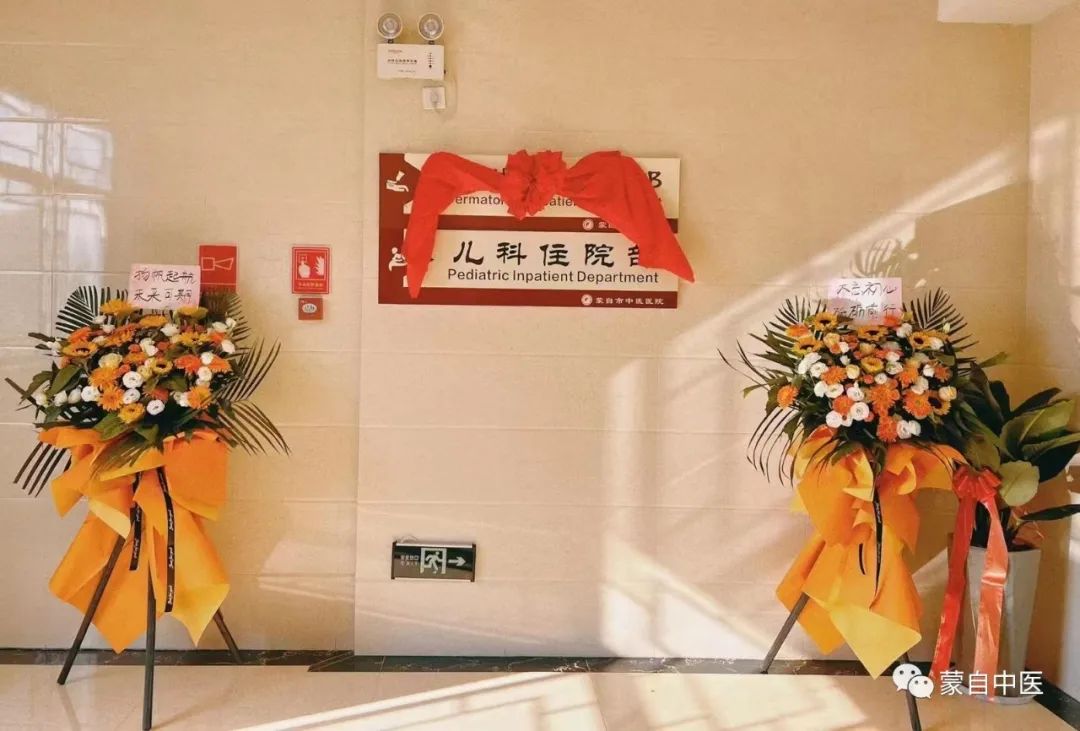 蒙自中医