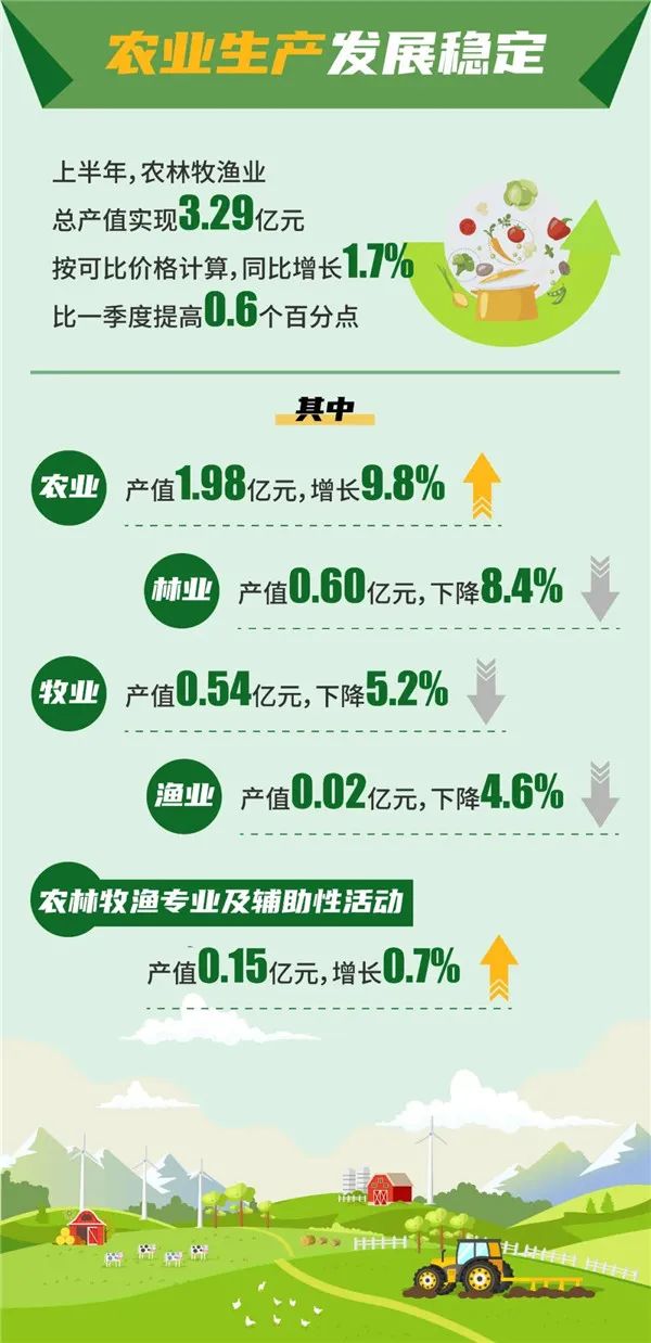 微观盘龙
