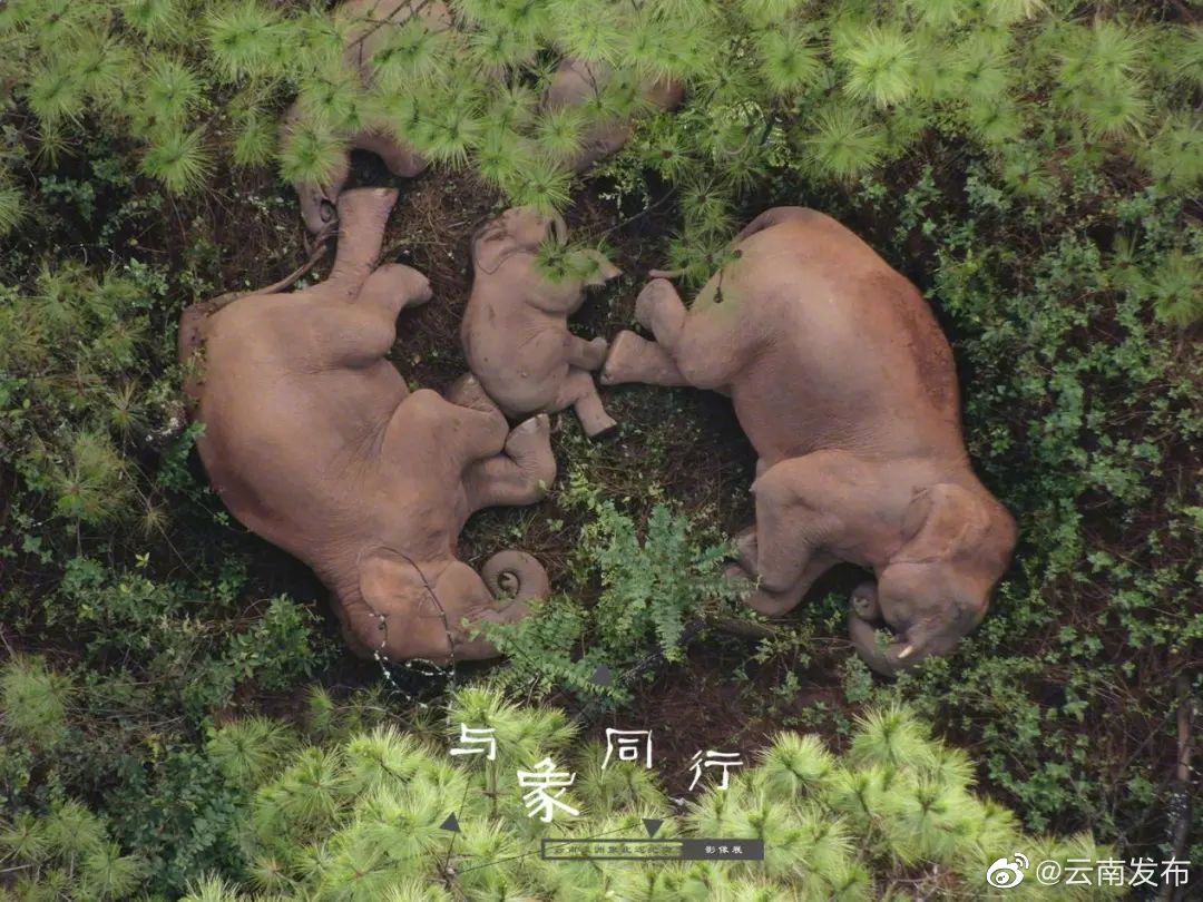 “云南发布”微博