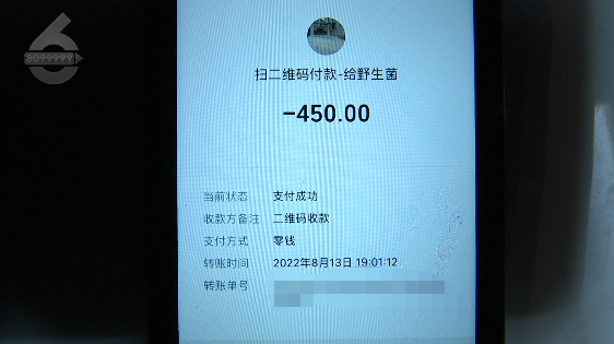 掌上春城