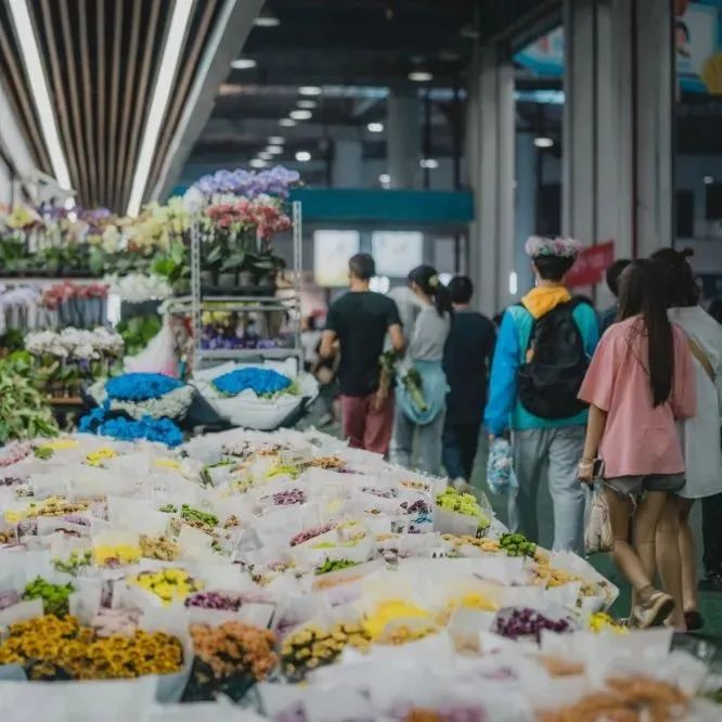 昆明发布