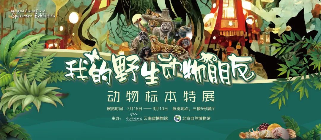 云南省博物馆