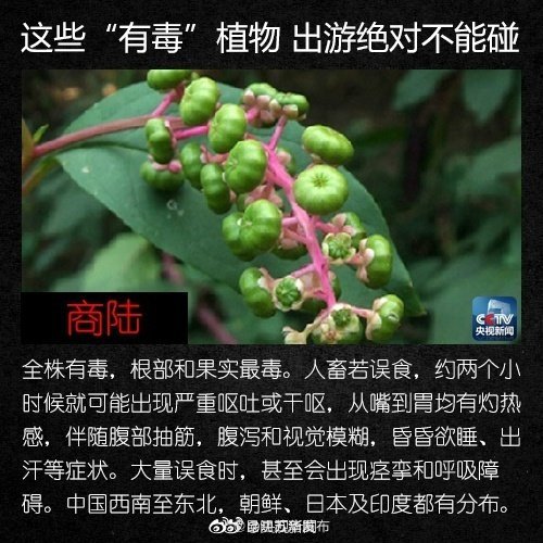 “昆明五华发布”微博