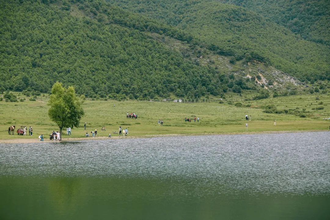 云南省文化和旅游厅