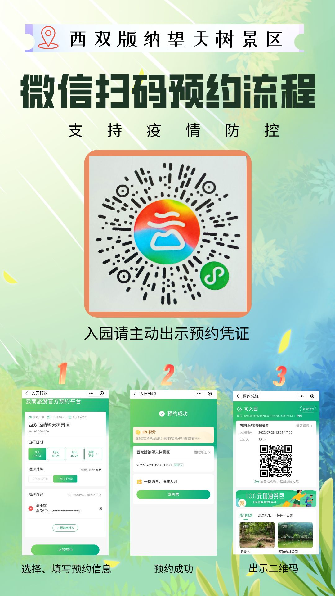 西双版纳望天树景区
