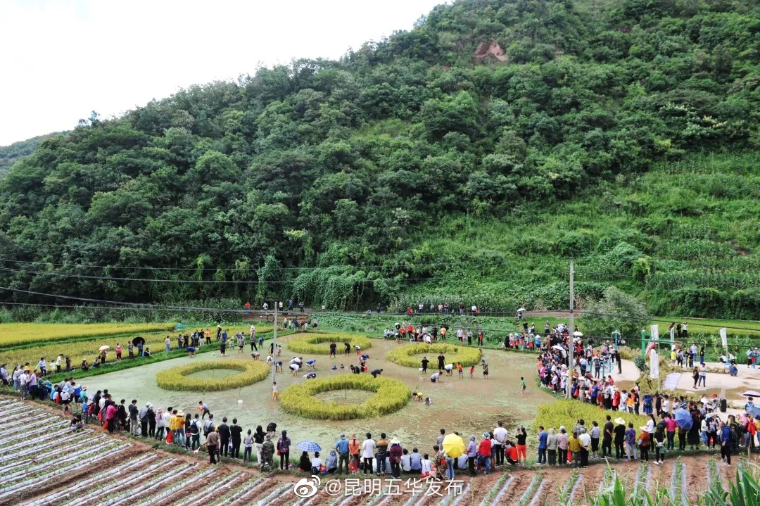 “昆明五华发布”微博