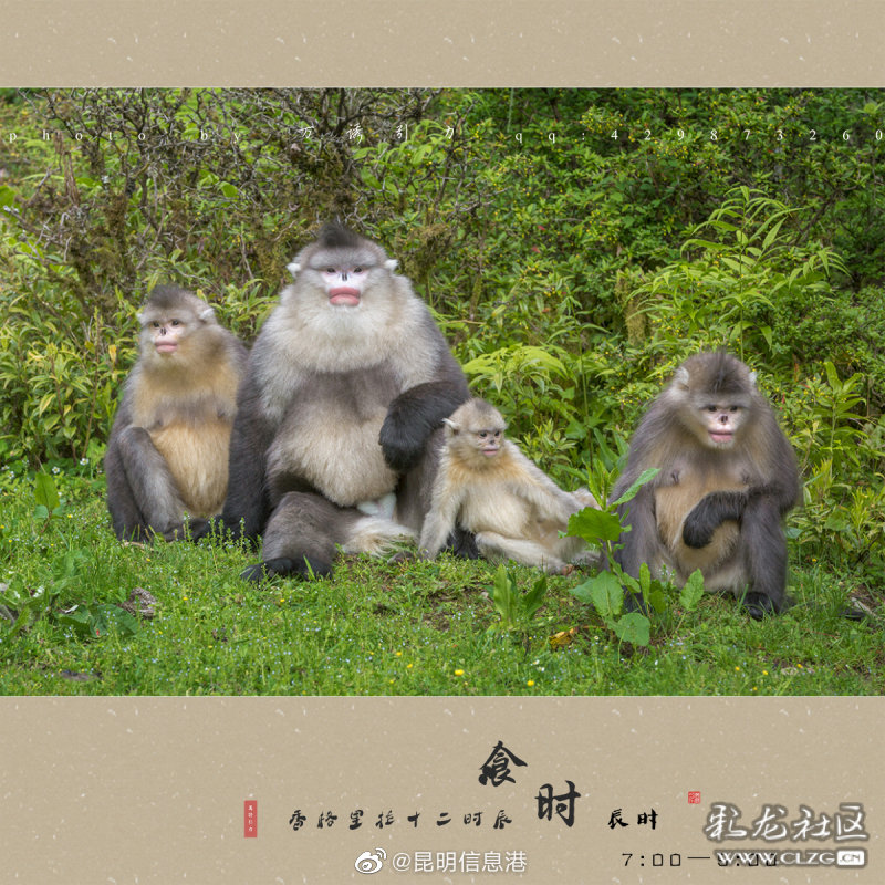 昆明信息港