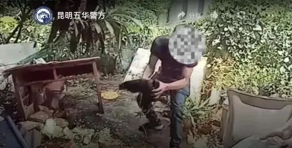 掌上春城