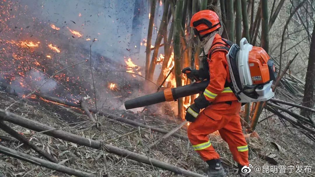 24℃→42℃！头一次坐机车上山救火...网友点赞云南森林消防：最靓的仔