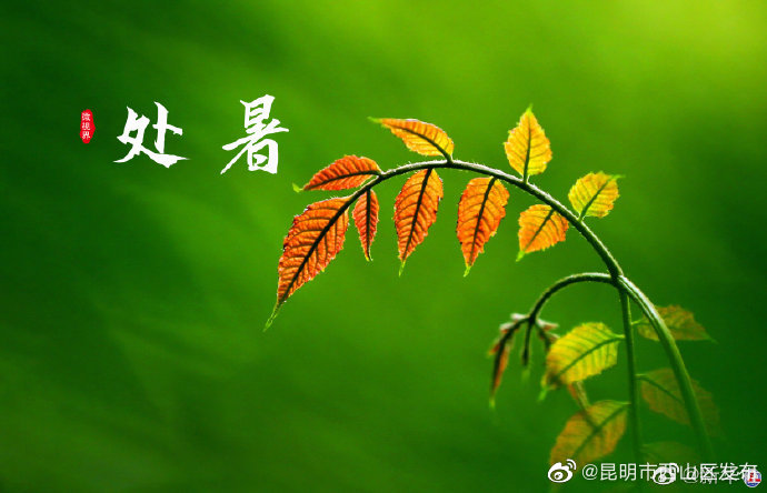 昆明市西山区发布