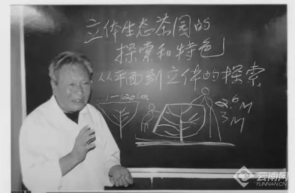 普洱日报