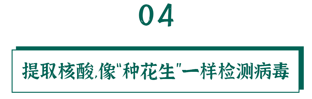 春城先锋